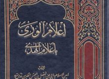 تحلیل و نقد تاریخی گزارش امین الاسلام طبرسی از غزوه ی خیبر