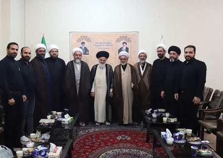 گزارش تصویری دیدار اعضای کنگره بین‌المللی بزرگداشت علامه میرحامدحسین لکهنوی با آیت الله حسینی بوشهری