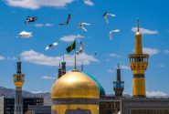 تحلیلی انتقادی از دیدگاه ابن تیمیه در منزلت معنوی امام رضا علیه السلام
