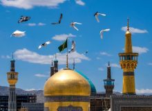 تحلیلی انتقادی از دیدگاه ابن تیمیه در منزلت معنوی امام رضا علیه السلام