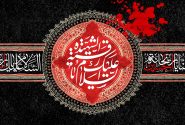 احوالات حضرت رقیه سلام الله علیها در منابع تاریخی