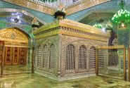 امامت عامه و خاصه در احاديث امام رضا عليه السلام