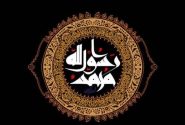 بررسی نقش جنسیت در گزینش نیروی انسانی در سیره رسول اکرم صلی الله علیه و آله و امیرالمؤمنین علیه السلام